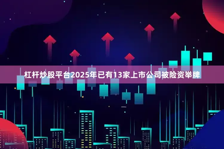 杠杆炒股平台2025年已有13家上市公司被险资举牌